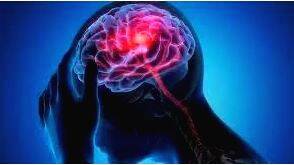 അമീബിക് മസ്തിഷ്‌ക ജ്വരം:….. വേരുതേടി പഠനം തുടങ്ങി സംഘത്തിൽ പരിസ്ഥിതി വിദഗ്‌ദ്ധരില്ല