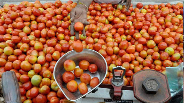 നൂറിൽ തൊട്ട് തക്കാളി,​ പച്ചക്കറി വില കുതിക്കുന്നു